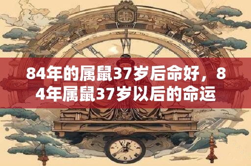 84年的属鼠37岁后命好，84年属鼠37岁以后的命运