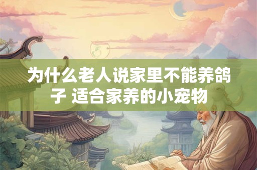 为什么老人说家里不能养鸽子 适合家养的小宠物
