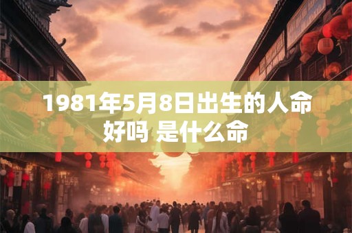 1981年5月8日出生的人命好吗 是什么命