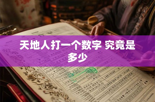 天地人打一个数字 究竟是多少