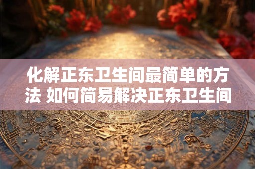 化解正东卫生间最简单的方法 如何简易解决正东卫生间问题