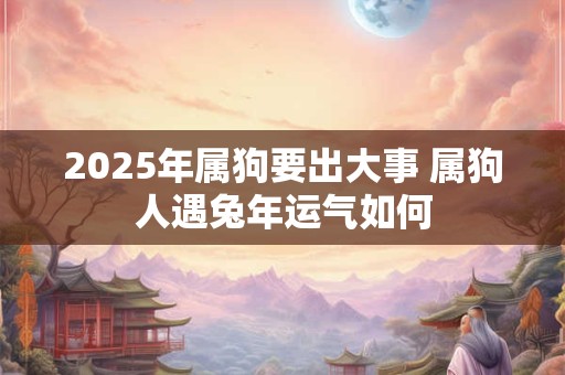 2025年属狗要出大事 属狗人遇兔年运气如何