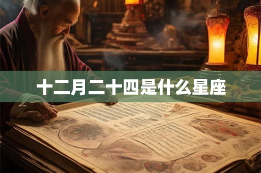 十二月二十四是什么星座