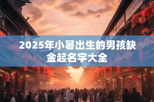 2025年小暑出生的男孩缺金起名字大全