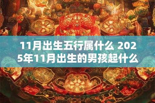 11月出生五行属什么 2025年11月出生的男孩起什么名
