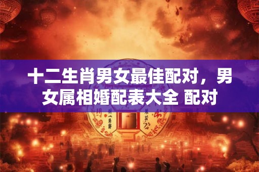 十二生肖男女最佳配对，男女属相婚配表大全 配对
