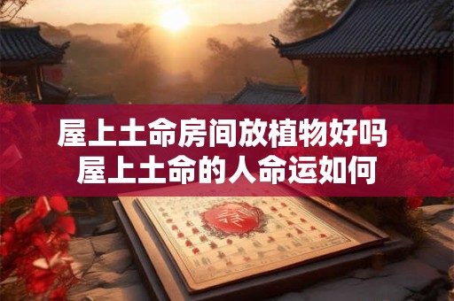 屋上土命房间放植物好吗 屋上土命的人命运如何