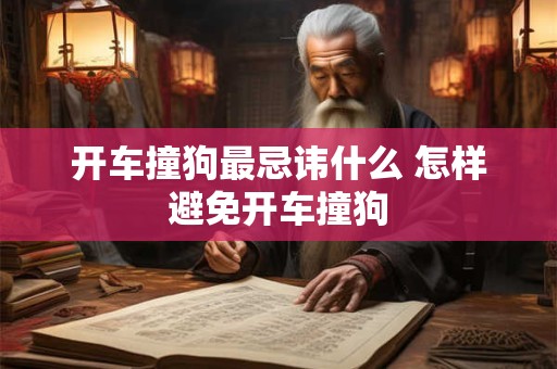 开车撞狗最忌讳什么 怎样避免开车撞狗