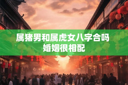 属猪男和属虎女八字合吗 婚姻很相配