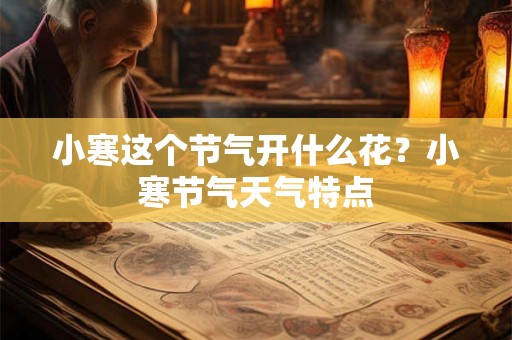 小寒这个节气开什么花？小寒节气天气特点