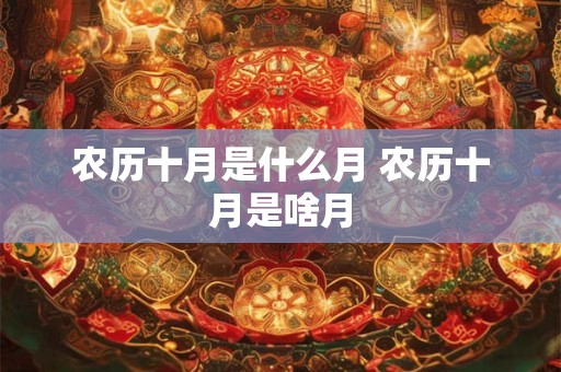农历十月是什么月 农历十月是啥月