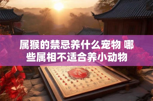 属猴的禁忌养什么宠物 哪些属相不适合养小动物