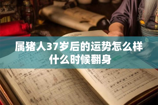 属猪人37岁后的运势怎么样 什么时候翻身