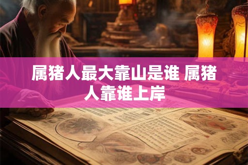 属猪人最大靠山是谁 属猪人靠谁上岸
