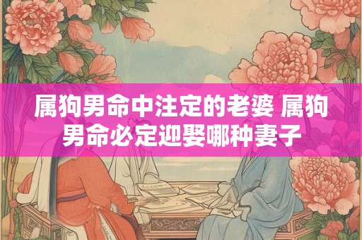 属狗男命中注定的老婆 属狗男命必定迎娶哪种妻子