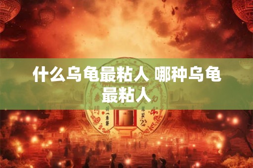 什么乌龟最粘人 哪种乌龟最粘人