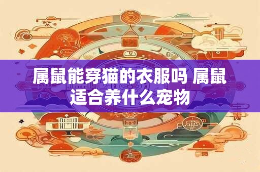 属鼠能穿猫的衣服吗 属鼠适合养什么宠物 属鼠能穿猫的衣服吗 属鼠适合养什么宠物