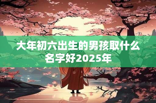 大年初六出生的男孩取什么名字好2025年