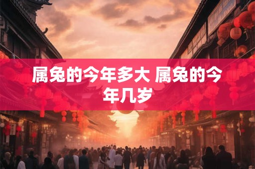 属兔的今年多大 属兔的今年几岁