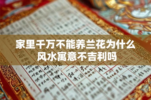 家里千万不能养兰花为什么 风水寓意不吉利吗
