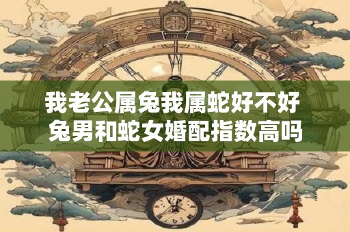 我老公属兔我属蛇好不好 兔男和蛇女婚配指数高吗