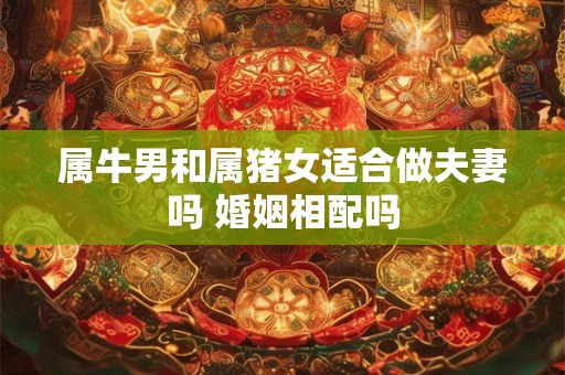 属牛男和属猪女适合做夫妻吗 婚姻相配吗