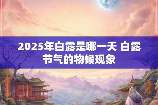 2025年白露是哪一天 白露节气的物候现象