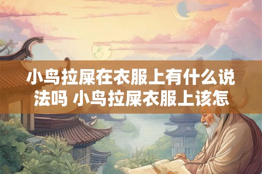 小鸟拉屎在衣服上有什么说法吗 小鸟拉屎衣服上该怎么处理