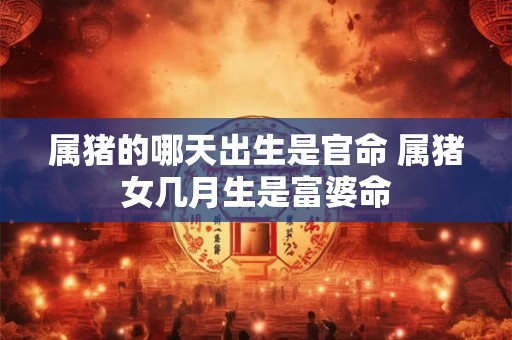 属猪的哪天出生是官命 属猪女几月生是富婆命 属猪的哪天出生是官命 属猪女几月生是富婆命