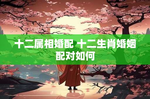 十二属相婚配 十二生肖婚姻配对如何