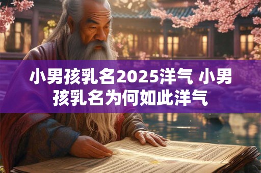 小男孩乳名2025洋气 小男孩乳名为何如此洋气