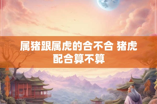 属猪跟属虎的合不合 猪虎配合算不算