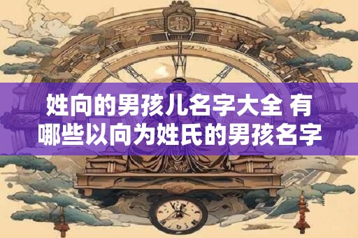 姓向的男孩儿名字大全 有哪些以向为姓氏的男孩名字呢