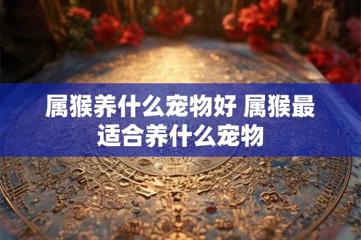 属猴养什么宠物好 属猴最适合养什么宠物