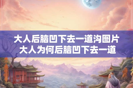 大人后脑凹下去一道沟图片 大人为何后脑凹下去一道沟