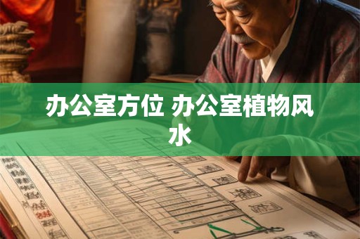 办公室方位 办公室植物风水