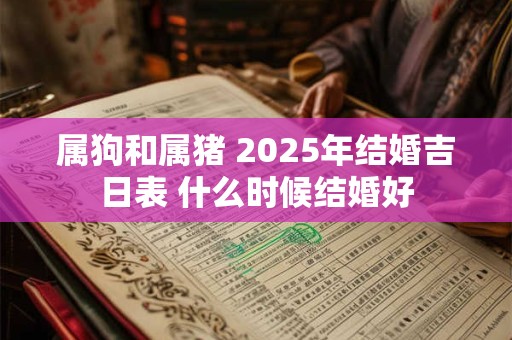属狗和属猪 2025年结婚吉日表 什么时候结婚好
