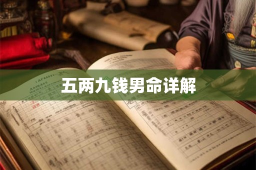 五两九钱男命详解
