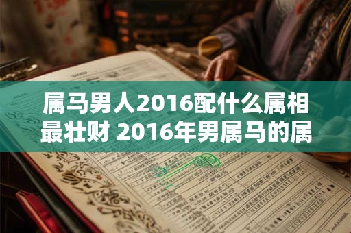 属马男人2016配什么属相最壮财 2016年男属马的属相婚配表