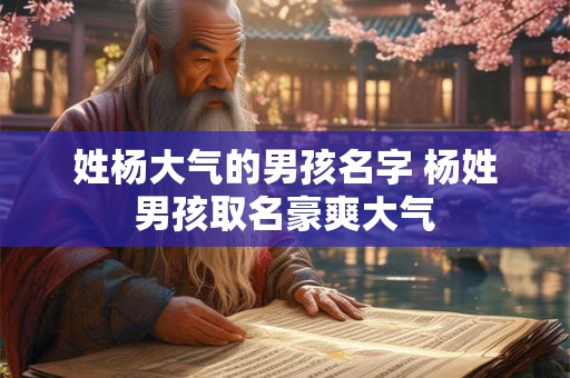 姓杨大气的男孩名字 杨姓男孩取名豪爽大气