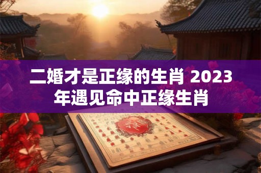 二婚才是正缘的生肖 2023年遇见命中正缘生肖