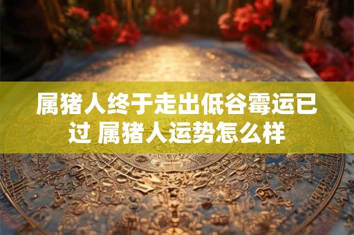 属猪人终于走出低谷霉运已过 属猪人运势怎么样