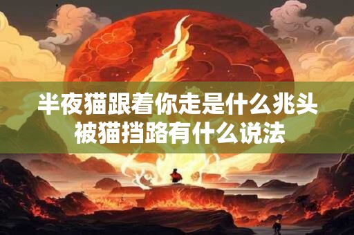 半夜猫跟着你走是什么兆头 被猫挡路有什么说法 半夜猫跟着你走是什么兆头 被猫挡路有什么说法