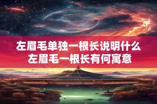 左眉毛单独一根长说明什么 左眉毛一根长有何寓意