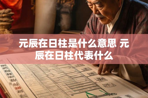 元辰在日柱是什么意思 元辰在日柱代表什么