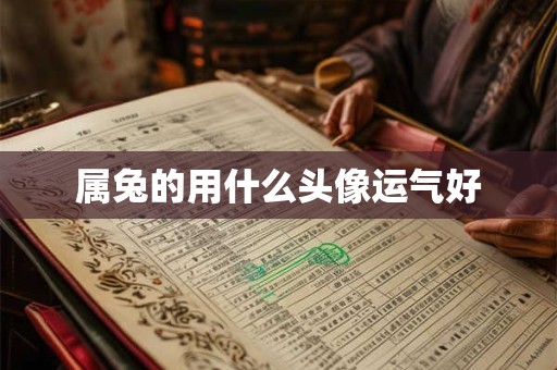 属兔的用什么头像运气好