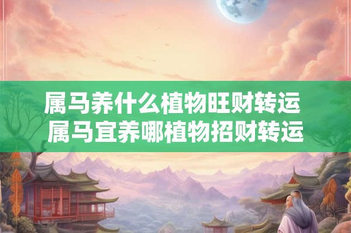 属马养什么植物旺财转运 属马宜养哪植物招财转运