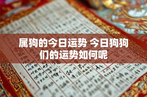 属狗的今日运势 今日狗狗们的运势如何呢