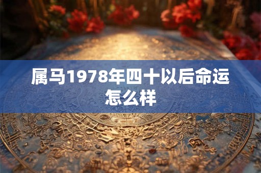属马1978年四十以后命运怎么样 属马1978年四十以后命运怎么样