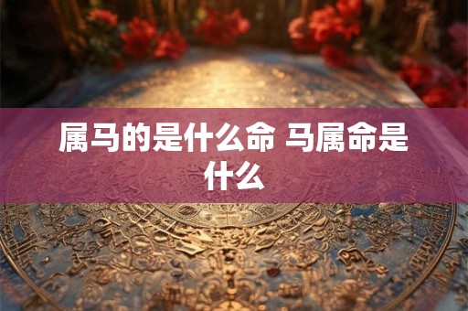 属马的是什么命 马属命是什么